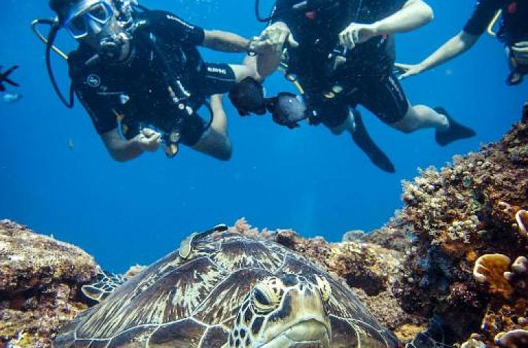 Manta Dive Gili Trawangan Resort