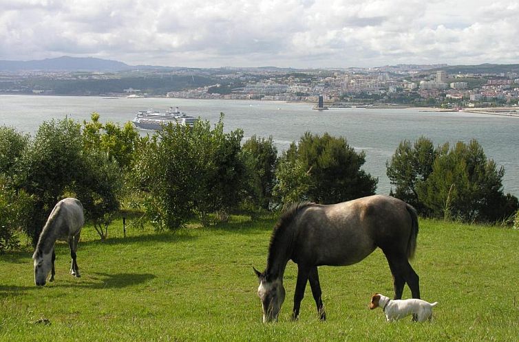 Quinta Tagus