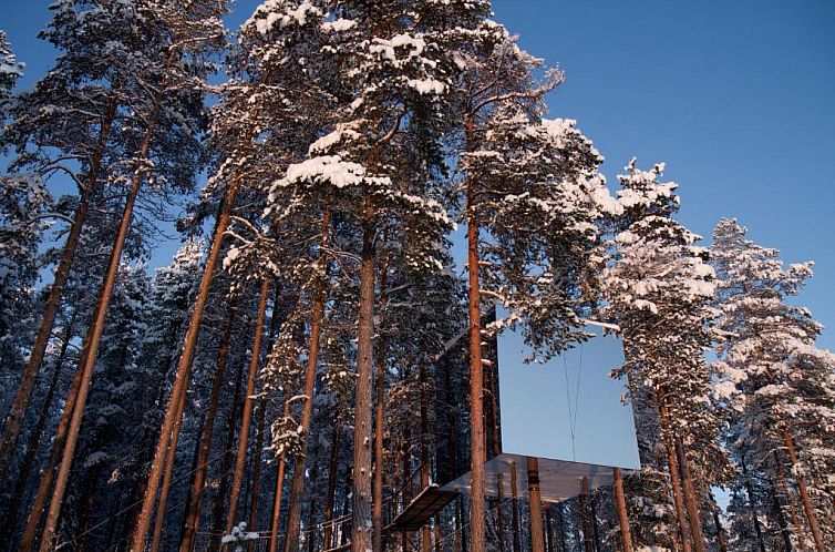 Treehotel