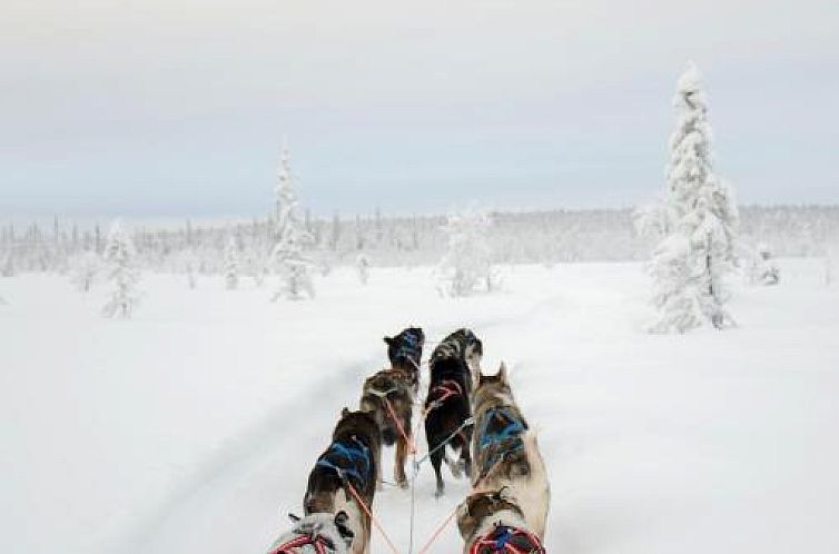 Abisko Mountain Lodge