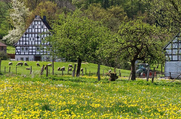 Landgasthof Gilsbach