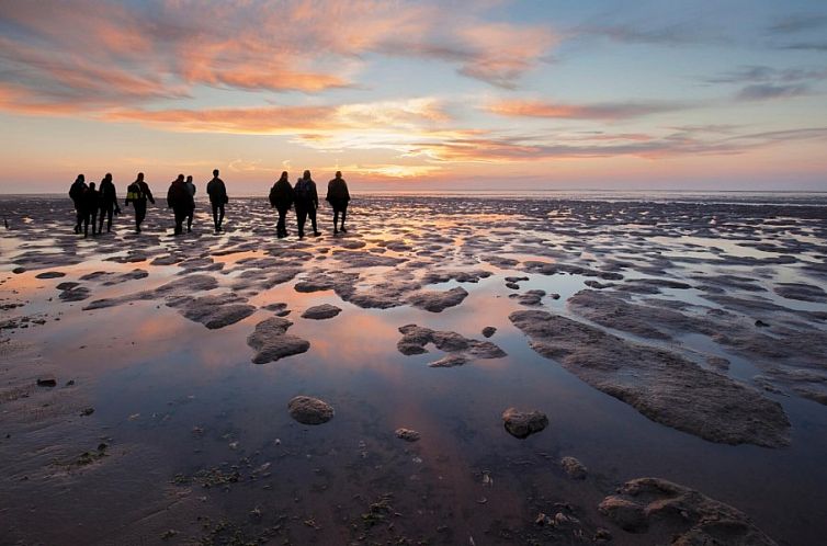 EnJoy Natur, See und Meer Chalet Lauwersoog