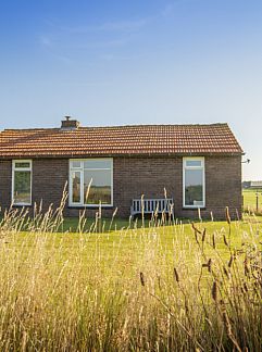 Holiday property De kemphaan: Voorhuis, De Waal, Texel, 