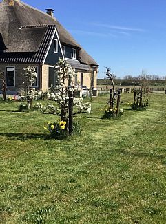 Bungalow De Fazant, Oosterend, Texel, 