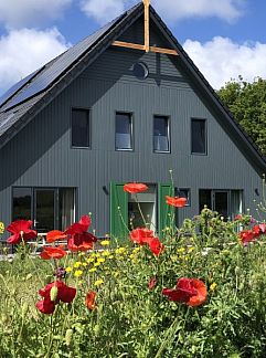 Bungalow Duif, Dennenbos, Texel, 