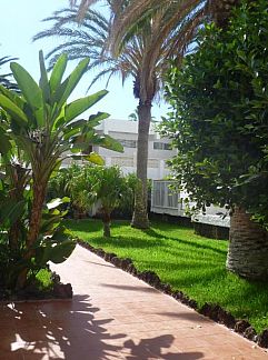 Apartment Rocas del Mar Tenerife, Costa del Silencio, Canary Islands, Spain