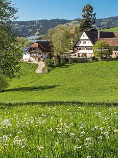 Appartement Langenberghof, Oberharmersbach, Baden-Württemberg, Deutschland