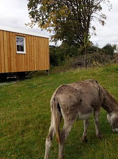 Vakantiewoning Vakantiehuis in Baden-Württemberg - Fichtenau bei, Fichtenau-Rötlein, Baden-Württemberg, Duitsland