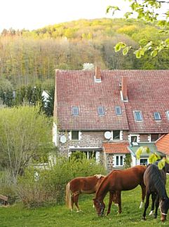 Ferienhaus Vakantiehuis in Kalletal-Heidelbeck, Kalletal-Heidelbeck, Nordrhein-Westfalen, Deutschland