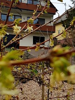 Ferienhaus Huisje in Wirschweiler, Wirschweiler, Rheinland-Pfalz, Deutschland