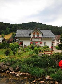 Appartement Hotel Schloss Hornberg, Hornberg, Forêt Noire, Allemagne