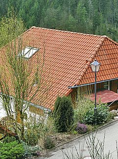 Appartement Hotel Schloss Hornberg, Hornberg, Forêt Noire, Allemagne