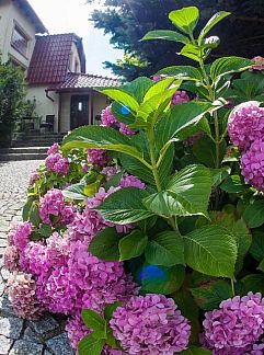 Ferienhaus Vakantiehuisje in Dobiegniew, Dobiegniew, Westpolen, Polen