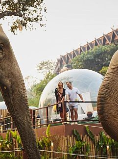 Vakantie appartement Four Seasons Tented Camp Golden Triangle, Golden Triangle, Noord-Thailand, Thailand