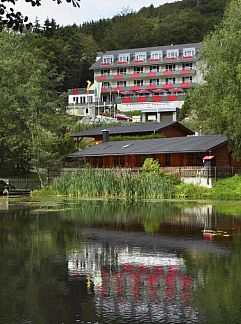 Appartement Appartement Willingen, Willingen, Sauerland (Winterberg), Duitsland