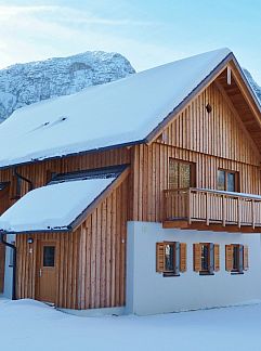 Chalet Luxery Salzkammergut Studio Comfort F, Obertraun, Oberosterreich, Autriche