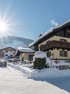 Ferienhaus Chalet Schneelöwe S, Leogang, Salzburgerland, Österreich