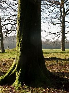 Vakantiewoning Château de la Barbiere, Bouillon, Ardennen (Luxemburg), België