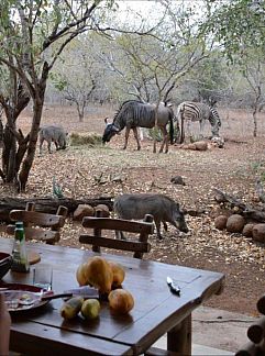 Vakantiewoning Needles Lodge, Marloth Park, Mpumalanga (Kruger Park), Zuid-Afrika