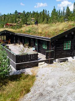 Vakantiewoning Huisje in Treungen, Treungen, Zuid Noorwegen, Noorwegen