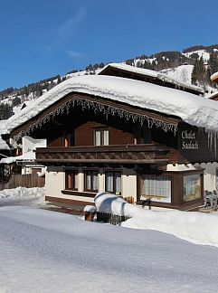 Ferienhaus Residenz Steinbock Top 1A, Viehhofen, Salzburgerland, Österreich