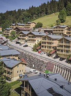 Ferienhaus Residenz Steinbock Top 1A, Viehhofen, Salzburgerland, Österreich