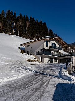 Ferienhaus Residenz Steinbock Top 1A, Viehhofen, Salzburgerland, Österreich