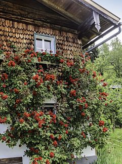 Appartement Gasthaus-Landhotel Traunstein, Abtenau, Salzburgerland, Österreich