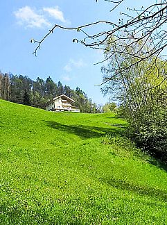 Ferienhaus Sunnseitn, Goldegg, Salzburgerland, Österreich