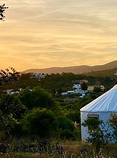 Ferienhaus Casa Palmeira-Casa Cameleão, Moncarapacho, Algarve, Portugal