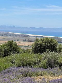 Ferienhaus Vakantiehuisje in Tarifa, Tarifa, Andalusien, Spanien