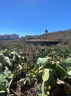 Holiday property Casa Yoel, Granadilla de Abona, Canary Islands, Spain