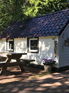 Logement de vacances Vakantiehuisje in Gasselte, Gasselte, Midden Drenthe, 