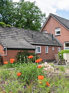 Holiday property Huisje in Odoorn, Odoorn, Midden Drenthe, 