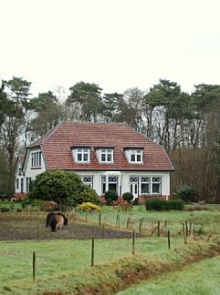 Vakantiewoning Huisje in Roden, Roden, Noord Drenthe, 