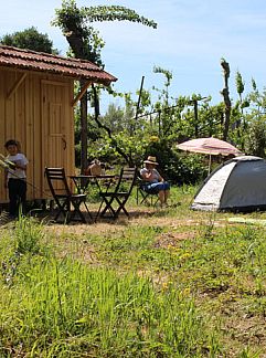 Vakantiewoning Vakantiehuisje in Corgo, Celorico de Basto, Corgo, Celorico de Basto, Noord Portugal, Portugal