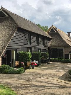 Ferienhaus Vakantiehuisje in Havelte, Havelte, Zuidwest Drenthe, 