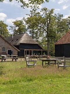 Ferienhaus Mooie 14 persoons boerderij in Havelte, Havelte, Zuidwest Drenthe, 