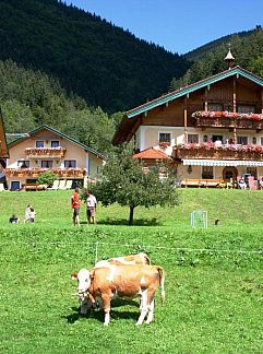 Ferienhaus Gasthof Botenwirt, Faistenau, Salzburgerland, Österreich