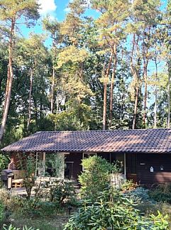 Holiday property WegInWinterswijk, Winterswijk, Achterhoek, 