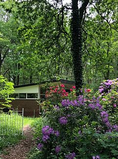 Ferienhaus Huisje in Barchem, Barchem, Achterhoek, 