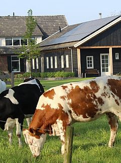 Zimmer mit Frühstück Vakantiehuis in Westendorp, Westendorp, Achterhoek, 