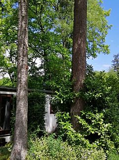 Ferienhaus Vakantiehuis in Gorssel, Gorssel, Achterhoek, 