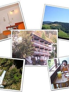 Appartement Kurparkhotel Faißt, Bad Peterstal-Griesbach, Forêt Noire, Allemagne