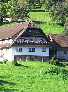 Appartement Kurparkhotel Faißt, Bad Peterstal-Griesbach, Forêt Noire, Allemagne