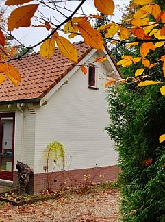 Chambres d'hôtes Vakantiehuisje in Vaassen, Vaassen, Veluwe, 