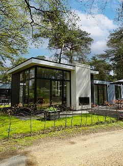 Ferienhaus Vakantiehuis Cube Exclusif 4, Otterlo, Veluwe, 