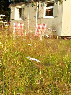 Bungalow Bospark De Schaapskooi, Epe, Veluwe, 