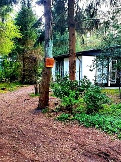 Holiday property Vakantiehuis Glampingtent Desert 5, Nunspeet, Veluwe, 