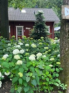 Ferienhaus Vakantiehuis in Bennekom, Bennekom, Veluwe, 